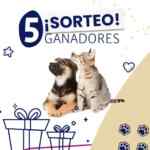 Kongo sortea 5 bolsas de alimento grandes a elección