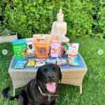 Sorteo Tu Mascota: Ganá un pack de snacks para tu mascota
