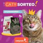 Sorteo Catycan: Ganá 1 de 2 premios de alimento para gato