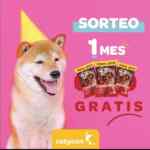 Catycan sortea 1 mes de asaditos para tu mascota