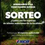 Sorteo Día de la Tierra: Ganá 1 de 10 árboles