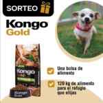 Kongo sortea una bolsa de alimento para perro y 120 kg para el refugio que elija el ganador