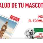 Promo Royal Canin 2023: Ganá viaje a New York, Cancún o Londres y más