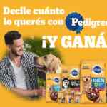 Promo Pedigree 2023: Ganá experiencias dog friendly y más en loqueresconpedigree.com