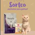 Sorteo Golocan Día del Gato: Ganá alimento Benefit Súper Premium y snacks