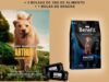 Diamond Films regala entradas para ver Arthur + 3 bolsas de 3kg de alimento + bolsa de snacks
