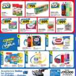Catálogo Carrefour Maxi Ofertas Semanales del 19 al 25 de agosto 2024