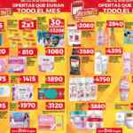 Folleto de Ofertas Semanales Supermercados DIA ofertas del 3 al 8 de octubre 2024