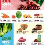 Catálogo COTO ofertas semanales del lunes 9 al domingo 15 de diciembre 2024