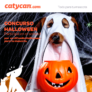 Sorteo Catycan de Halloween: Ganá un kit sorpresa de golosinas para tu mascota. Cierra el viernes 30 de octubre.