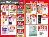 Folleto DIA Ofertas de la Semana del jueves 4 al miércoles 10 de enero