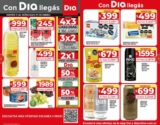 Catálogo DIA Ofertas de la semana del 11 al 17 de enero 2024