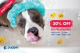 Promo Baños en Puppis: 30% de descuento en peluquería para mascotas. Hasta el 29 de febrero