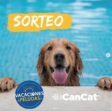 Sorteo Puppis: Ganá un kit de productos de CanCat para tu perro o gato