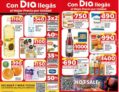 Folleto Supermercados DIA del jueves 9 al miércoles 15 de mayo