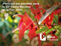 Concurso Banco Provincia te invita a la Fiesta Nacional de la Flor: ganá entradas compartiendo el post de Facebook. Hasta el 6 de octubre