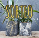 Sorteo Día de la Primavera: Ganá macetas de terrazo marmoladas