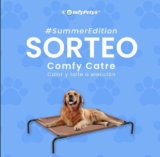 Ganá un Comfy Catre para tu mascota en el sorteo de Comfy Pets