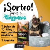 Sorteo Kongo: Ganá 1 bolsa de alimento Kongo y una camita