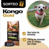 Kongo sortea una bolsa de alimento para perro y 120 kg para el refugio que elija el ganador
