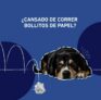 Sorteo Recreo Puppis: Ganá productos Purina